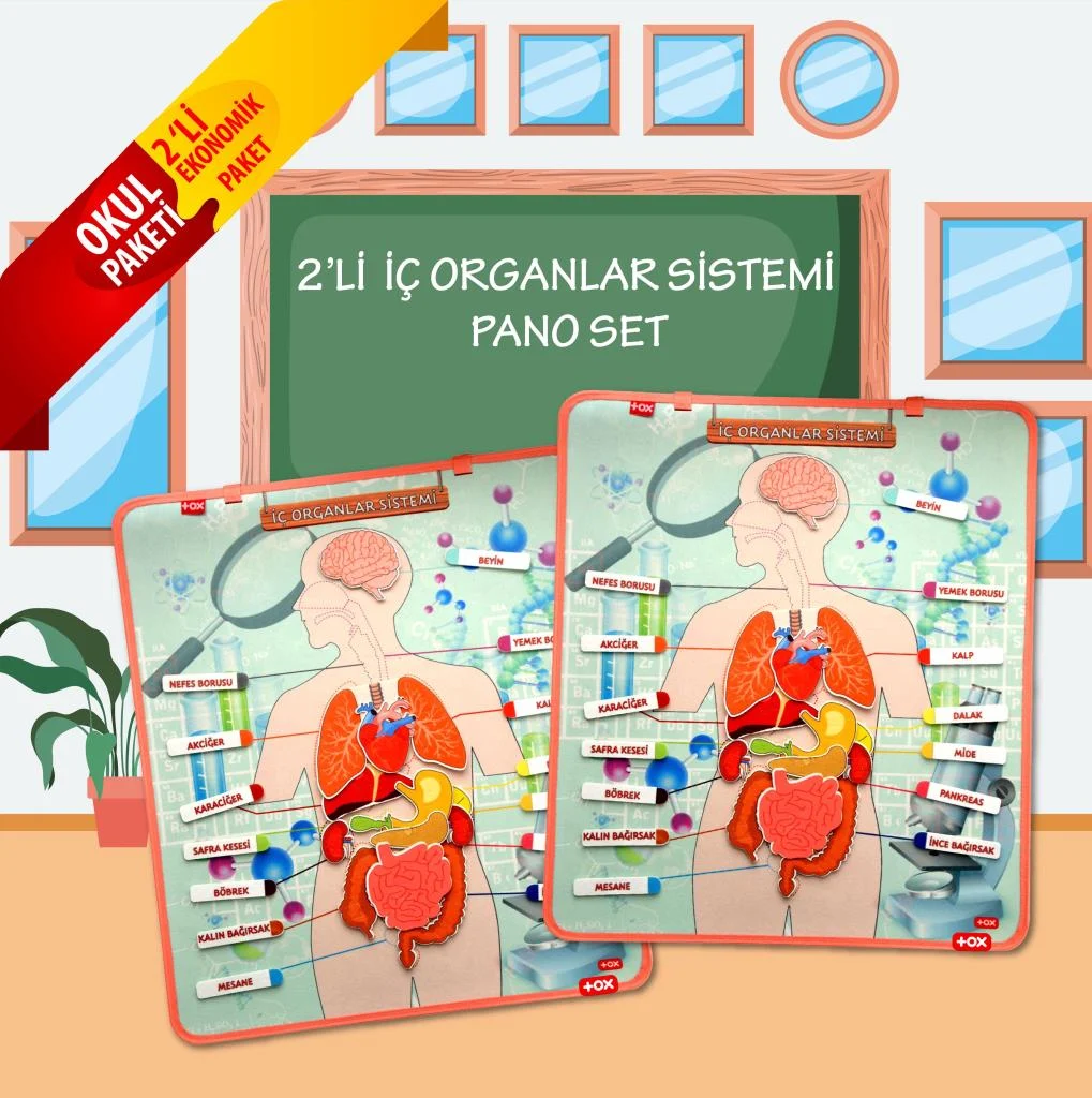 İç Organlar Sistemi (2Set) - Görsel 2