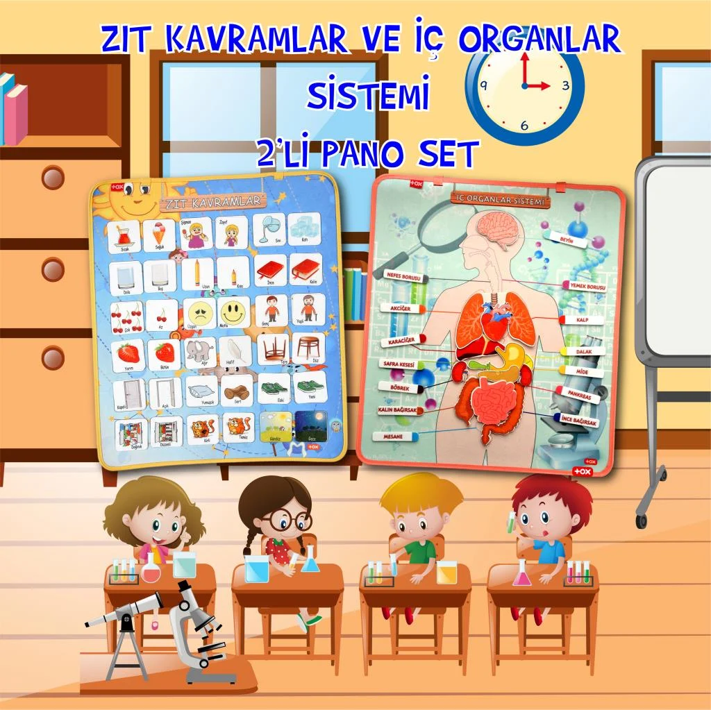 İç Organlar ve Zıt Kavramlar (2li) - Görsel 2