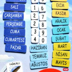 Takvimi Öğreniyorum, Organlar ve İskelet Sistemi (3lü) - Görsel 5
