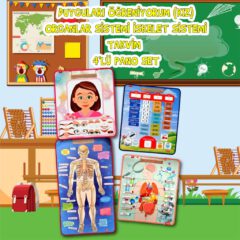 İskelet , İç Organlar Sistemi , Takvim ve Duyguları Öğreniyorum (4lü) - Görsel 2