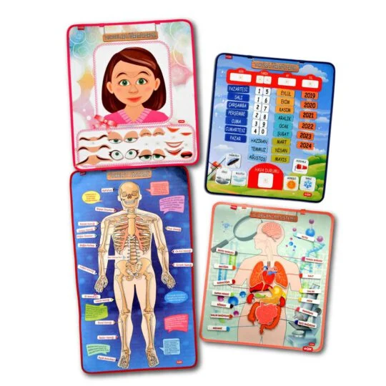 İskelet , İç Organlar Sistemi , Takvim ve Duyguları Öğreniyorum (4lü)