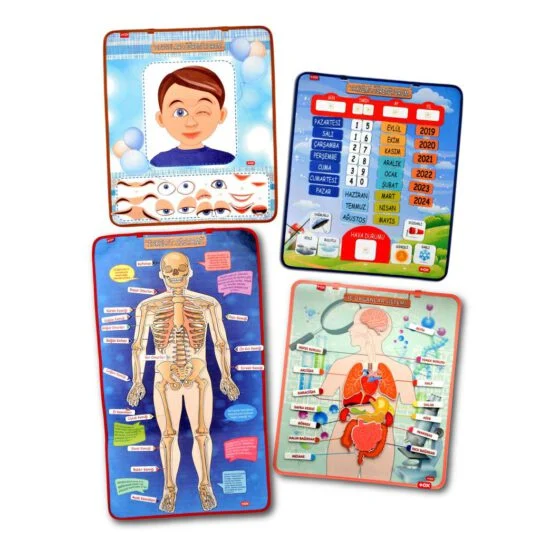 İskelet , İç Organlar Sistemi , Takvim ve Duyguları Öğreniyorum (4lü)