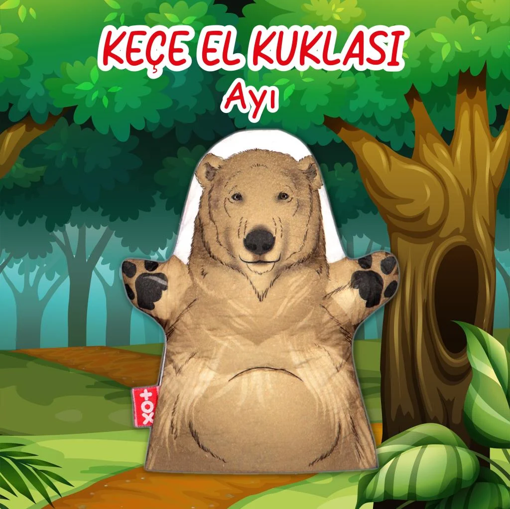 Ayı - Görsel 2