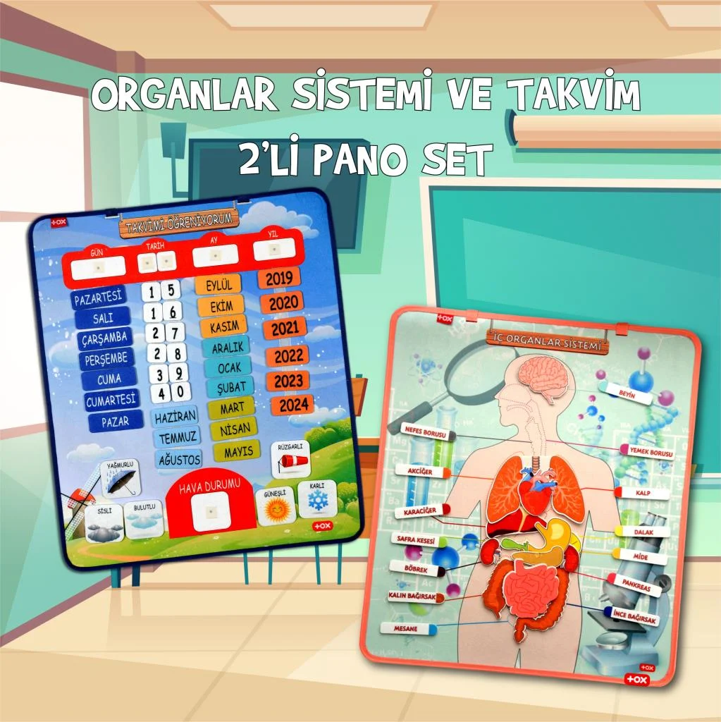 İç Organlar ve Takvimi Öğreniyorum (2li) - Görsel 2