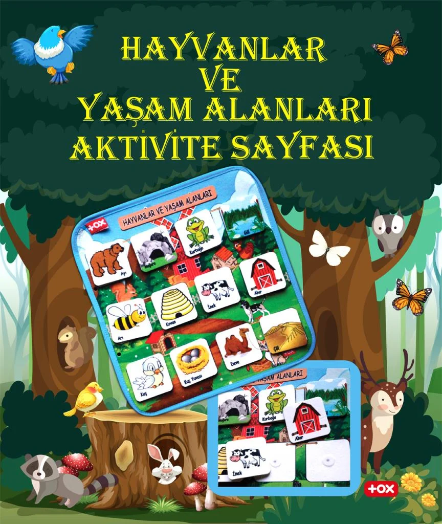 Hayvanlar ve Yaşam Alanları - Görsel 2