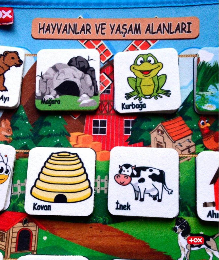 Hayvanlar ve Yaşam Alanları - Görsel 4