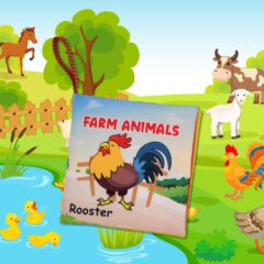 Farm Animals - Görsel 10