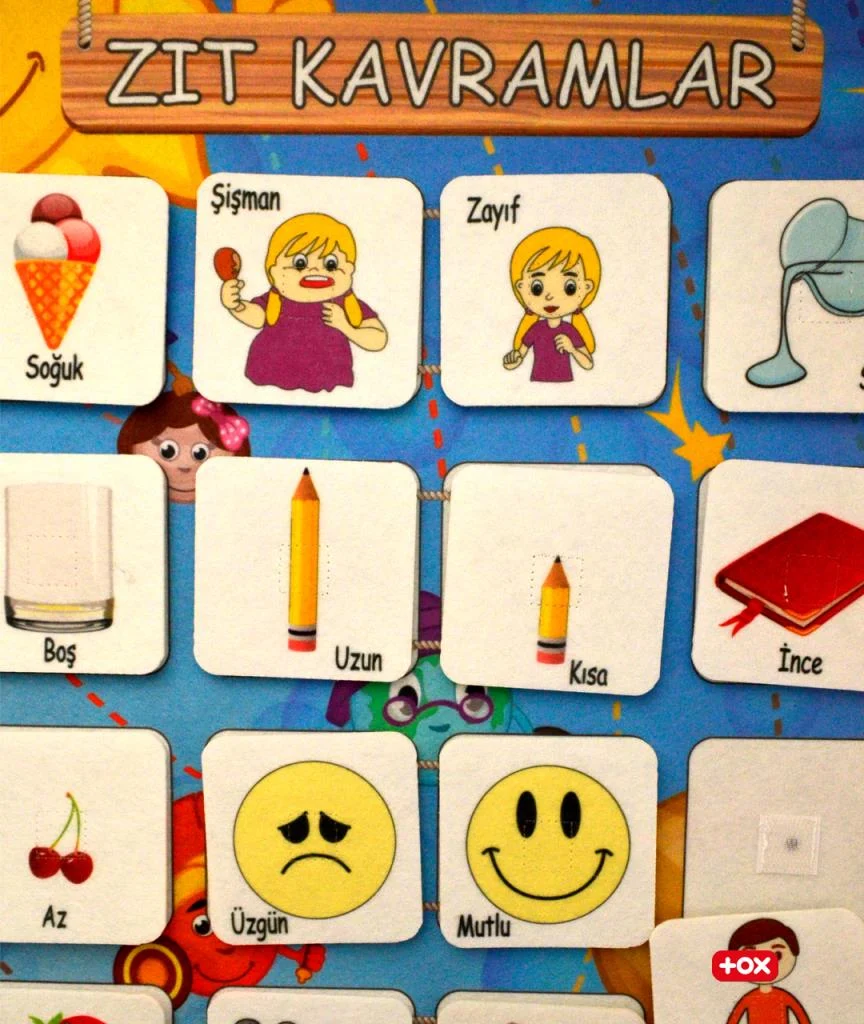 Zıt Kavramlar ve Gölge Eşleştirme Oyunu (2li) - Görsel 10