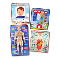 İskelet , İç Organlar Sistemi , Takvim ve Duyguları Öğreniyorum (4lü) - Görsel 6