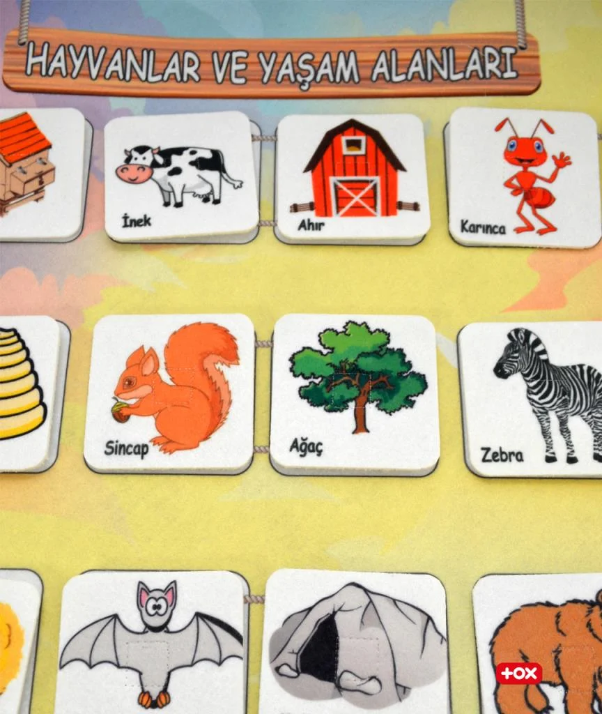 Hayvanlar ve Yaşam Alanları - Görsel 11