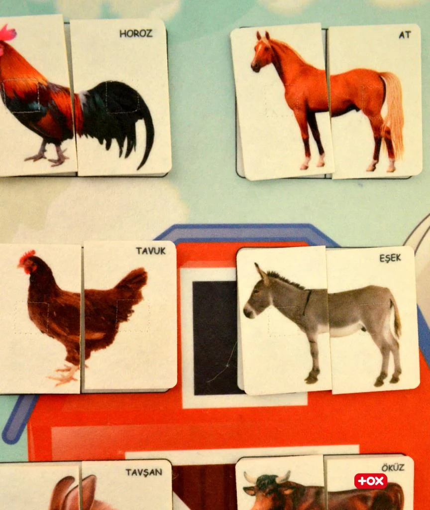 Evcil Hayvanlar Birleştirme Oyunu - Görsel 7