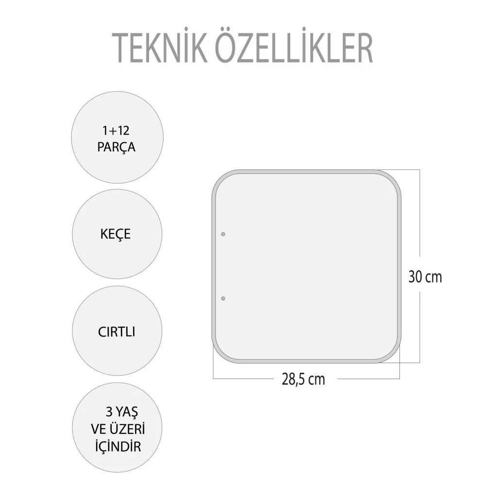Hayvanlar ve Yaşam Alanları - Görsel 3